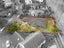 3 Cricklade Terrace, Windsor Park, Auckland - Carousel 28