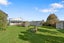 27 Dublin Street, Martinborough, Martinborough - Carousel 10