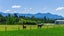 376 Tyntesfield Road, Waihopai Valley, Blenheim - Carousel 24