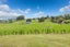59 Pine Road, Lichfield, South Waikato, Waikato - Carousel 27