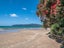 50 Bayside Drive, Coopers Beach - Carousel 37