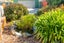 51 Hope Street, Shirley, Christchurch - Carousel 14