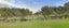 215 Nixon Road, Taupaki, Henderson - Carousel 2