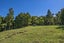 0 Akerama Road, Hukerenui, Hikurangi - Carousel 25