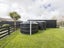 317A Mount Biggs Road, Halcombe - Carousel 20
