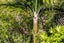 2480 Wyuna Bay Road, Wyuna Bay, Coromandel - Carousel 8