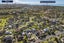 150 Bayswater Avenue, Bayswater, Auckland - Carousel 12