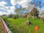 26 Mclean Street, Woodville - Carousel 21