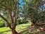 2475 Wyuna Bay Road, Wyuna Bay, Coromandel - Carousel 11