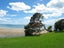 121A Kowhai Road, Mairangi Bay, Auckland - Carousel 44