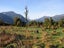0 Bruce Bay, Bruce Bay, Haast - Carousel 2