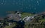 723 Whangarei Heads Road, Whangarei - Carousel 31
