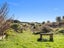 660P Cathedral Road, Domett, Cheviot - Carousel 17