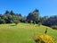 106 Brickfield Road, Blue Spur, Hokitika - Carousel 15