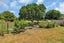 370 One Tree Point Road, One Tree Point - Carousel 18