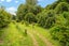 1229A Akatarawa Road, Akatarawa, Upper Hutt - Carousel 30