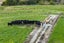 272 Huarau Road, Maungaturoto - Carousel 20