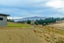 213 Letts Gully Road, Letts Gully, Alexandra - Carousel 31