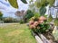 54 Whakapirau Road, Maungaturoto, Maungaturoto - Carousel 26