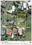 29 Einstein Street, Outer Kaiti, Gisborne - Carousel 16