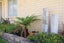 3 Foxtail Fern, Kelvin Grove, Palmerston North - Carousel 17