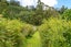 1229A Akatarawa Road, Akatarawa, Upper Hutt - Carousel 29