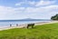 10B Matipo Road, Mairangi Bay, Auckland - Carousel 27