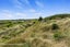 118 Dunns Avenue, The Pines Beach, The Pines Beach - Carousel 27