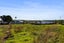 14 Belford Street, Waverley, Dunedin - Carousel 2