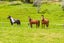 26 Brynderwyn Road, Brynderwyn, Maungaturoto - Carousel 10