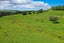 156 Marohemo Road, Maungaturoto, Maungaturoto - Carousel 11