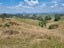 254B Pekanui Road, Puketotara, Pirongia - Carousel 13