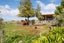 1233 Makino Road, Halcombe, Feilding - Carousel 20