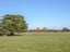 231 Norfolk Road, Waingawa - Carousel 17