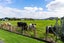 11 Lowburn Avenue, Waipu, Waipu - Carousel 3