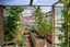 52 Shelley Street, Leamington, Cambridge - Carousel 21
