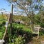 85 Nuhaka-Opoutama Road, NUHAKA, Nuhaka - Carousel 8