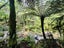 275 Lillis Lane, Coromandel, Coromandel - Carousel 34