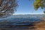 125 Koutu Road, Kawaha Point, Rotorua - Carousel 28