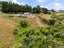 169 Mangati Road, Puketotara, Te Awamutu - Carousel 18