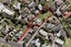 22 Exmouth Road, Northcote, Auckland - Carousel 2