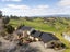 461E Minden Road, Minden, Tauranga - Carousel 2