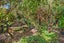 1110 Ashley Gorge Road, Glentui, Oxford - Carousel 31