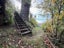 5 Charlotte Avenue, Brooklyn, Wellington - Carousel 16