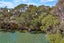 7 Riverside Drive, Warkworth - Carousel 17