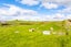 383 Brown Road, Hakaru - Carousel 28