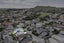 8 Koko Mews, Mangere Bridge, Auckland - Carousel 18