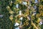 22 Hill Road, Palm Beach, Waiheke Island - Carousel 19