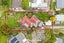 80 Dundale Avenue, Blockhouse Bay, Auckland - Carousel 3