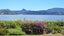 132 Harbour Drive, Matarangi, Whitianga - Carousel 23
